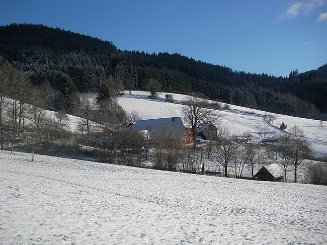 SANY4360.JPG