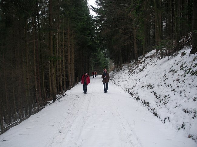 SANY4530.JPG