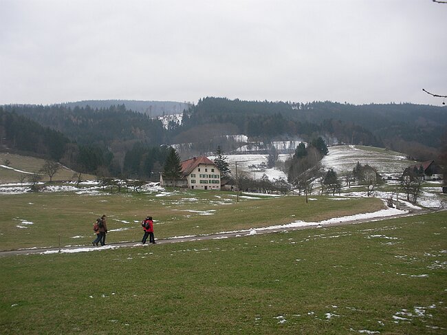 SANY4524.JPG