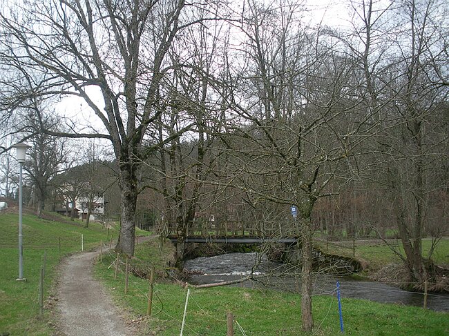 SANY4567.JPG