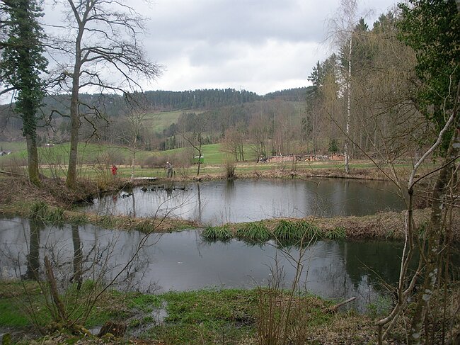 SANY4590.JPG