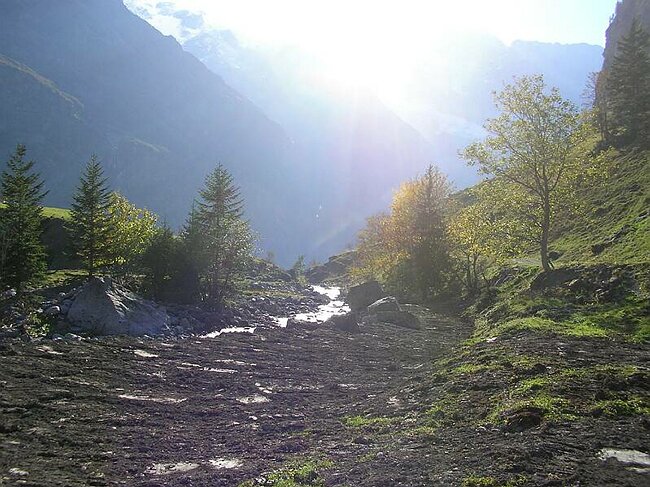 SANY3493.JPG